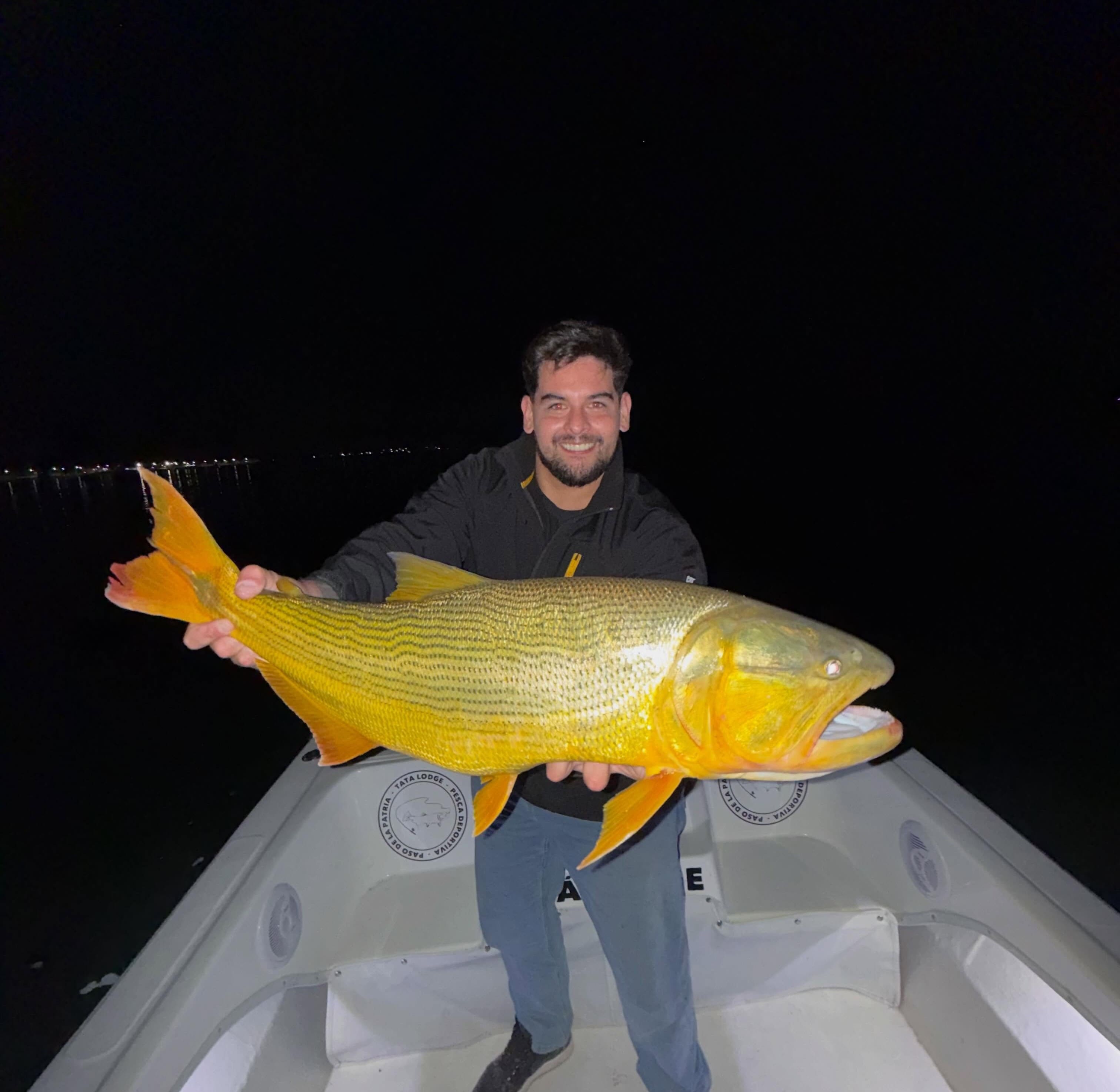 Dorado nocturno